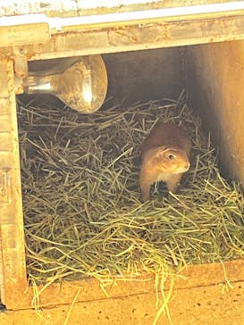 伊豆シャボテン動物公園に投稿された画像（2025/5/4）
