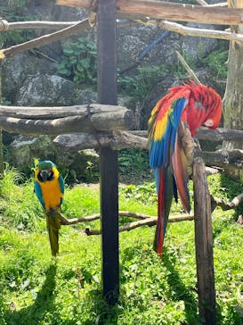 伊豆シャボテン動物公園に投稿された画像（2025/5/4）