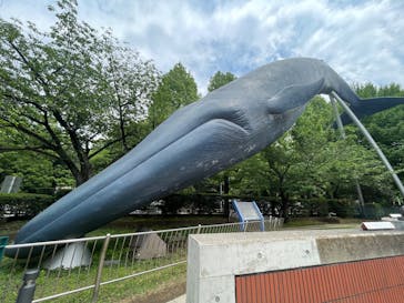 国立科学博物館に投稿された画像（2025/5/4）