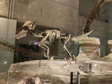 国立科学博物館に投稿された画像（2025/5/4）