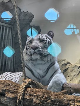 NIFREL（ニフレル）に投稿された画像（2025/5/4）