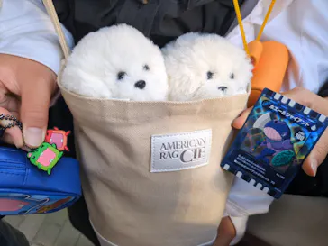 ひらかたパークに投稿された画像（2025/5/4）