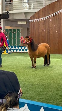 ノーザンホースパークに投稿された画像（2025/5/4）