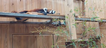 名古屋市東山動植物園に投稿された画像（2025/5/4）