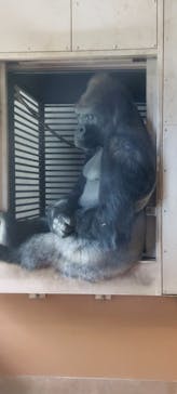 名古屋市東山動植物園に投稿された画像（2025/5/4）