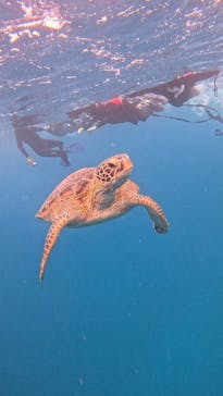  マリンショップHAPPYに投稿された画像（2025/5/4）