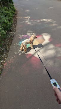 ムーミンバレーパークに投稿された画像（2025/5/4）