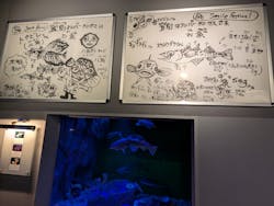 登別マリンパークニクスに投稿された画像（2025/5/4）