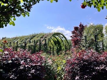 横浜イングリッシュガーデンに投稿された画像（2025/5/4）