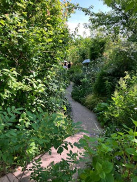 横浜イングリッシュガーデンに投稿された画像（2025/5/4）