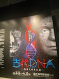 特別展「古代DNA－日本人のきた道」（国立科学博物館）に投稿された画像（2025/5/4）