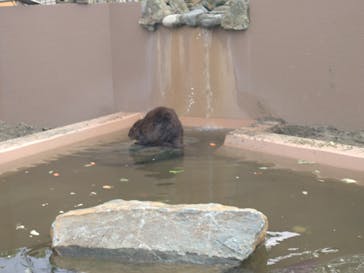日立市かみね動物園に投稿された画像（2025/5/4）