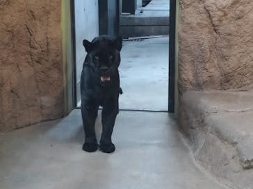 日立市かみね動物園に投稿された画像（2025/5/4）