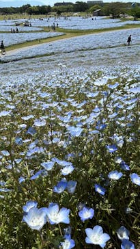 マリンワールド海の中道に投稿された画像（2025/5/4）