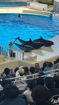 マリンワールド海の中道に投稿された画像（2025/5/4）