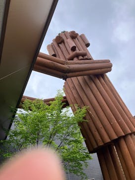 モビリティリゾートもてぎに投稿された画像（2025/5/4）