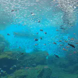 仙台うみの杜水族館に投稿された画像（2025/5/4）
