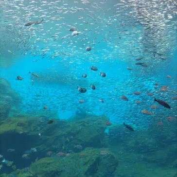 仙台うみの杜水族館に投稿された画像（2025/5/4）