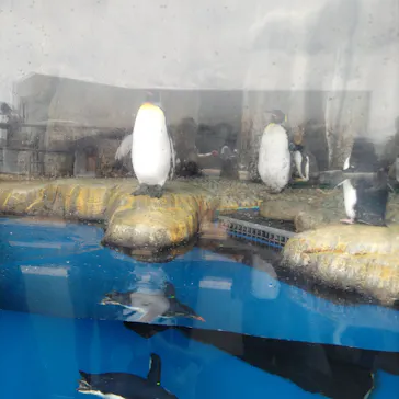 仙台うみの杜水族館に投稿された画像（2025/5/4）