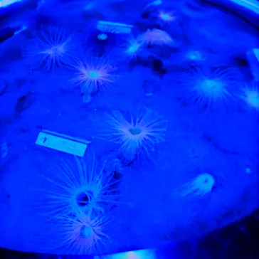 仙台うみの杜水族館に投稿された画像（2025/5/4）