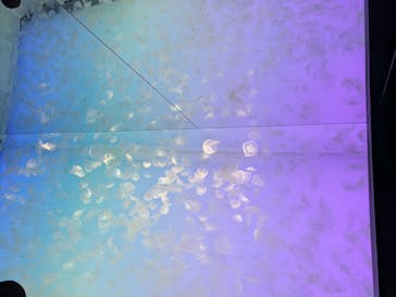 アクアワールド茨城県大洗水族館に投稿された画像（2025/5/4）