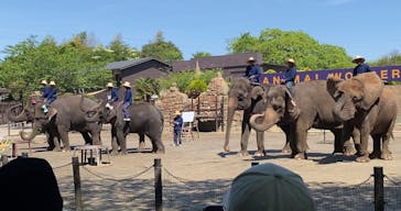 ANIMAL WONDER REZOURT 市原ぞうの国・サユリワールドに投稿された画像（2025/5/4）