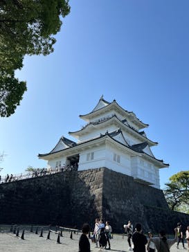 小田原城に投稿された画像（2025/5/4）