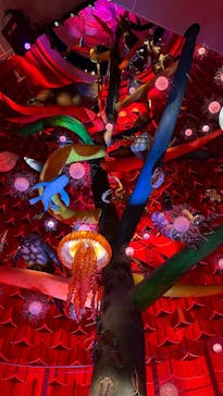 万博記念公園に投稿された画像（2025/5/4）