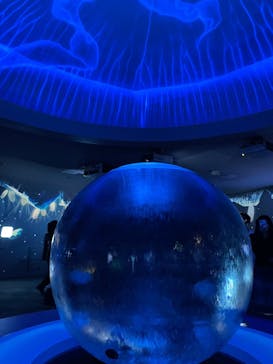 新江ノ島水族館に投稿された画像（2025/5/4）