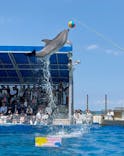越前松島水族館に投稿された画像（2025/5/4）