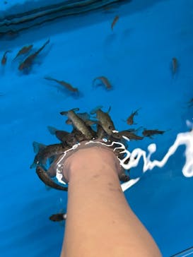 越前松島水族館に投稿された画像（2025/5/4）