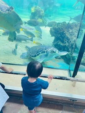 横浜・八景島シーパラダイス　プレジャーランドに投稿された画像（2025/5/4）