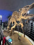 福井県立恐竜博物館に投稿された画像（2025/5/4）