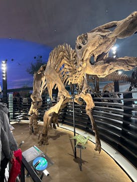 福井県立恐竜博物館に投稿された画像（2025/5/4）