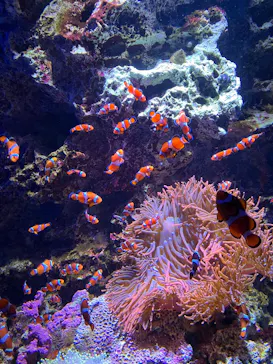 仙台うみの杜水族館に投稿された画像（2025/5/4）