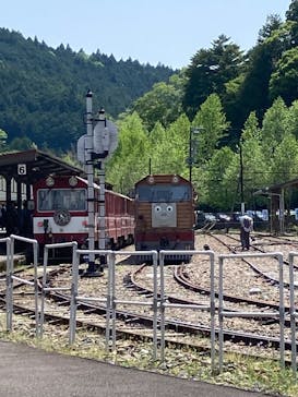 大井川鐵道株式会社に投稿された画像（2025/5/4）