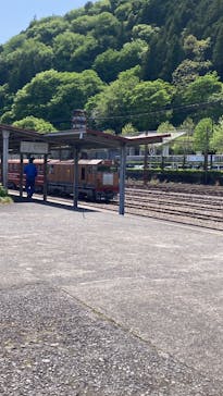 大井川鐵道株式会社に投稿された画像（2025/5/4）