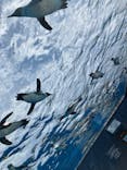 サンシャイン水族館に投稿された画像（2025/5/4）