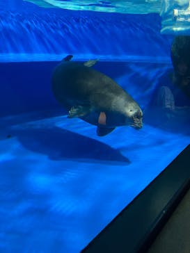 サンシャイン水族館に投稿された画像（2025/5/4）