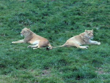 東北サファリパークに投稿された画像（2025/5/4）