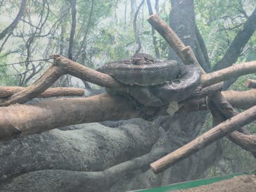 東北サファリパークに投稿された画像（2025/5/4）