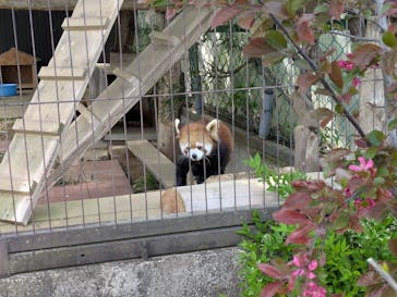 東北サファリパークに投稿された画像（2025/5/4）
