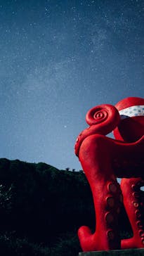 宮古島マリンショップSmileyに投稿された画像（2025/5/4）