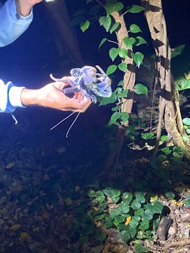 宮古島マリンショップSmileyに投稿された画像（2025/5/4）