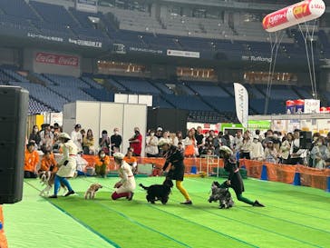 みんな大好き！！ペット王国に投稿された画像（2025/5/4）