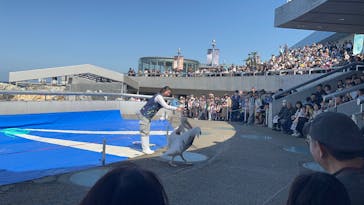 大分マリーンパレス水族館 「うみたまご」に投稿された画像（2025/5/4）