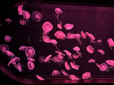 AOAO SAPPOROに投稿された画像（2025/5/4）