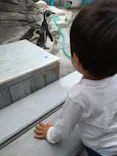 仙台うみの杜水族館に投稿された画像（2025/5/4）