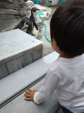 仙台うみの杜水族館に投稿された画像（2025/5/4）