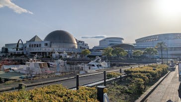 名古屋港水族館に投稿された画像（2025/5/4）